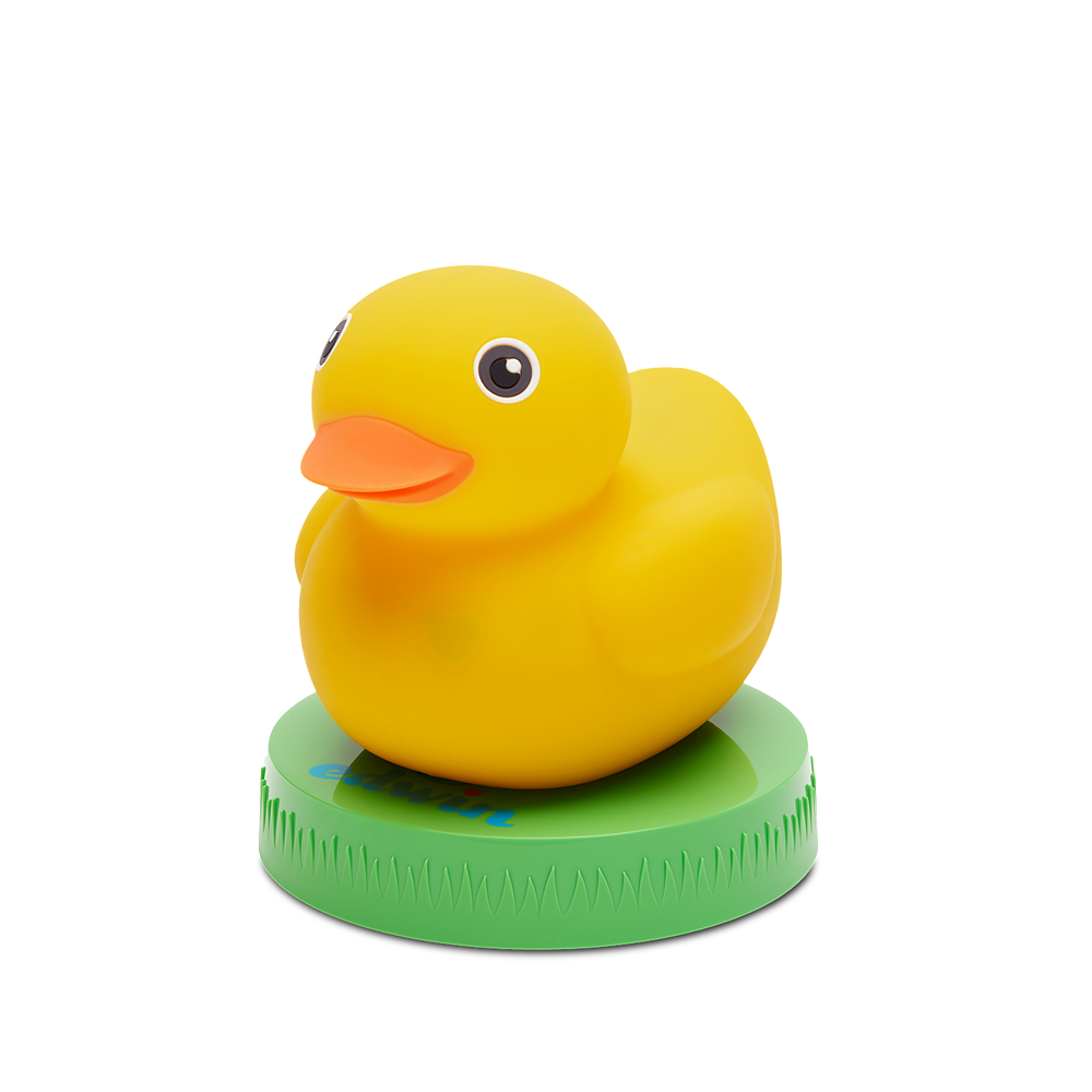 edvin-duck